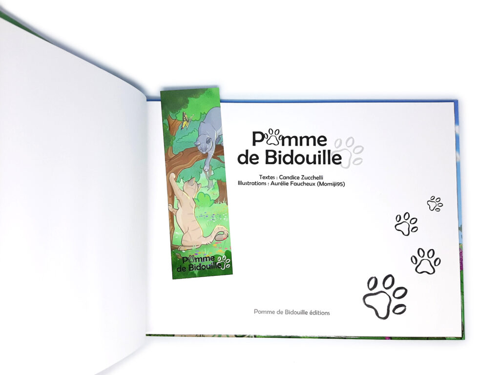 Pomme de Bidouille, l'album illustré