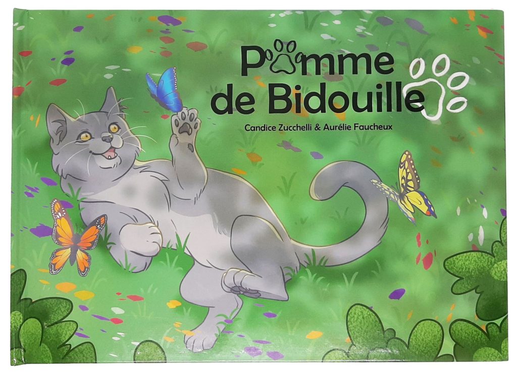Pomme de Bidouille, l'album illustré