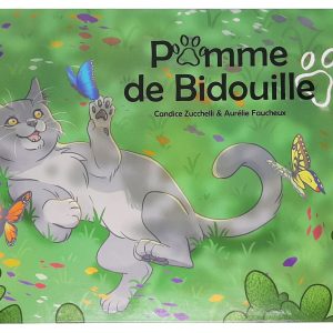 Pomme de Bidouille, l'album illustré